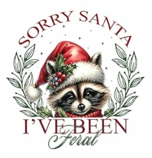 Sorry Santa Raccoon  - 50